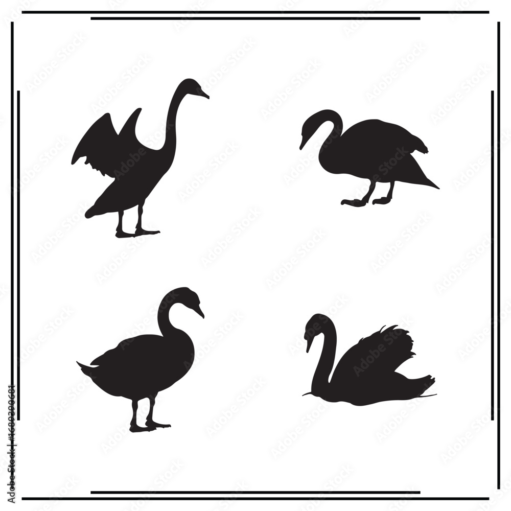 Obraz premium Set of Black Silhouettes of Swans: Vector Icons of Swimming and Standing Swans for Wildlife, Nature, and Animal Themes