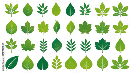 green leaf icons set