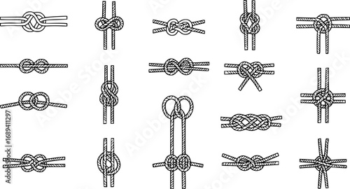 Collection of various knot types displayed on a simple background for reference and educational purposes
