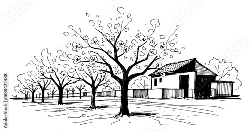 Fruit orchard with farmhouse vector illustration