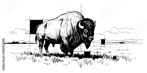 Hand drawn bison standing on prairie sketch
