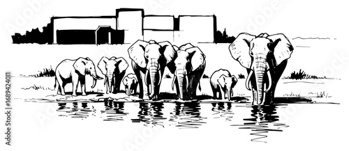 Elephant herd drinking at zoo waterhole