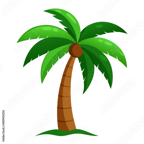 vector illustration of a palm tree