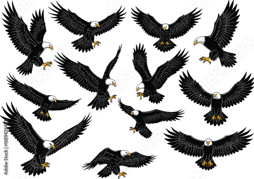 Bald Eagle Vector, Flying Eagle Illustration, American Bird Clipart, Predator Silhouette Art, Soaring Eagle Design, Wildlife Symbol Graphic