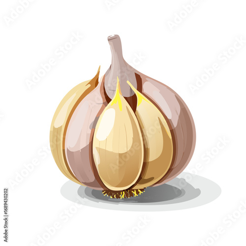 Cartoon Style Garlic Bulb Still Life Culinary Ingredient Cooking Flavoring Condiment Food Vector Illustration