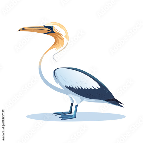 Elegant Vector Cormorant Bird Illustration Wildlife Standing Coastal Seabird Animal Nature Ocean