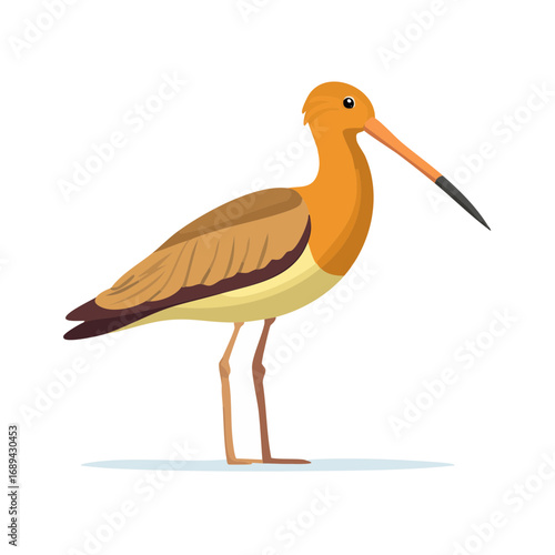 Illustration of a bird standing on ice with a long beak against a black background