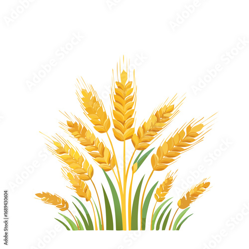 Golden wheat stalks with green grass, illustration on black background