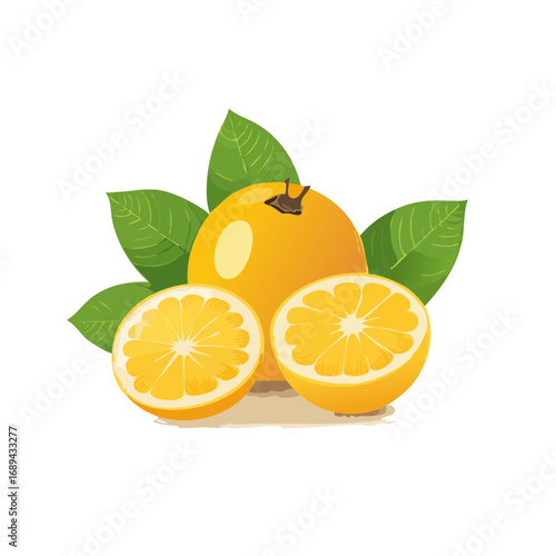 Citrus fruit arrangement with leaves illustration whole and halved orange fruit still life healthy and organic lifestyle food photography