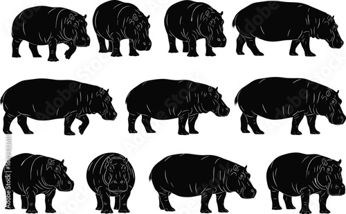 Hippopotamus silhouette vector set, hippo animal clipart, wildlife mammal illustrations, African river horse graphic design, zoo animal art icons