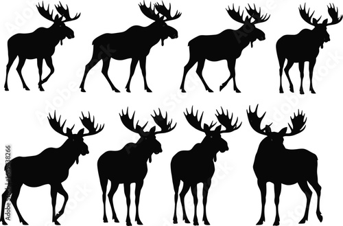 Silhouettes of majestic moose, wild animals, forest wildlife, large mammals, nature, antlers, animal group, wilderness, outdoor fauna, scenic wildlife