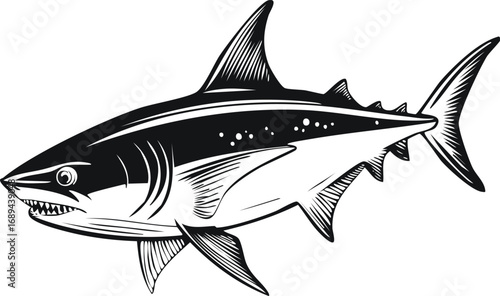 Ocean Predator: A detailed black and white illustration of a majestic shark, showcasing its powerful form and sharp teeth, capturing the raw essence of the ocean's apex predator.