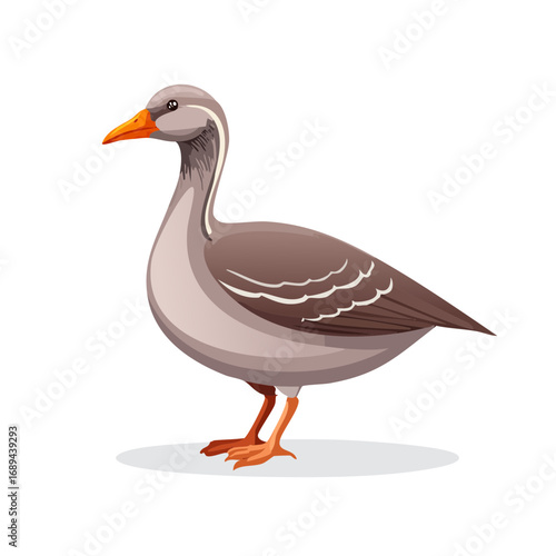 Cute cartoon greylag goose illustration waterfowl bird vector nature wildlife animal