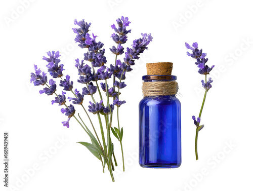 Purple lavender sprigs surround a small, blue glass bottle with a cork