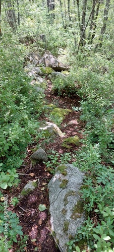 On the trails