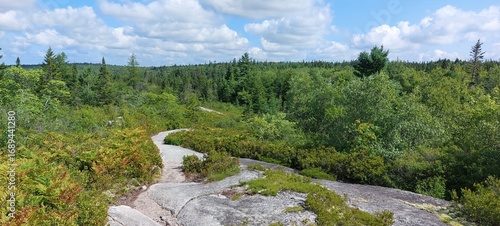 On the trail river 