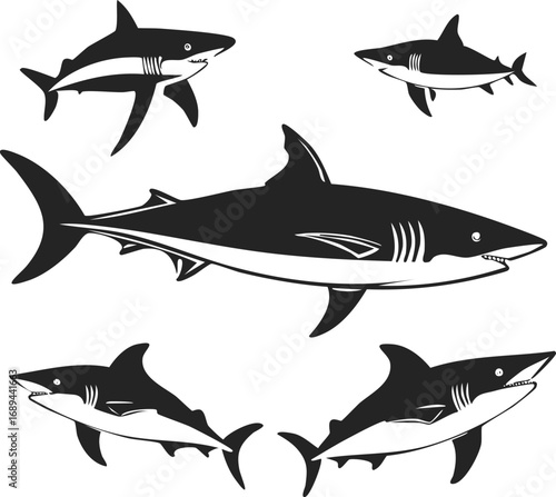 Ocean Predator Silhouette: A striking artistic display showcasing a series of shark illustrations, each artfully rendered in bold black against a plain backdrop.