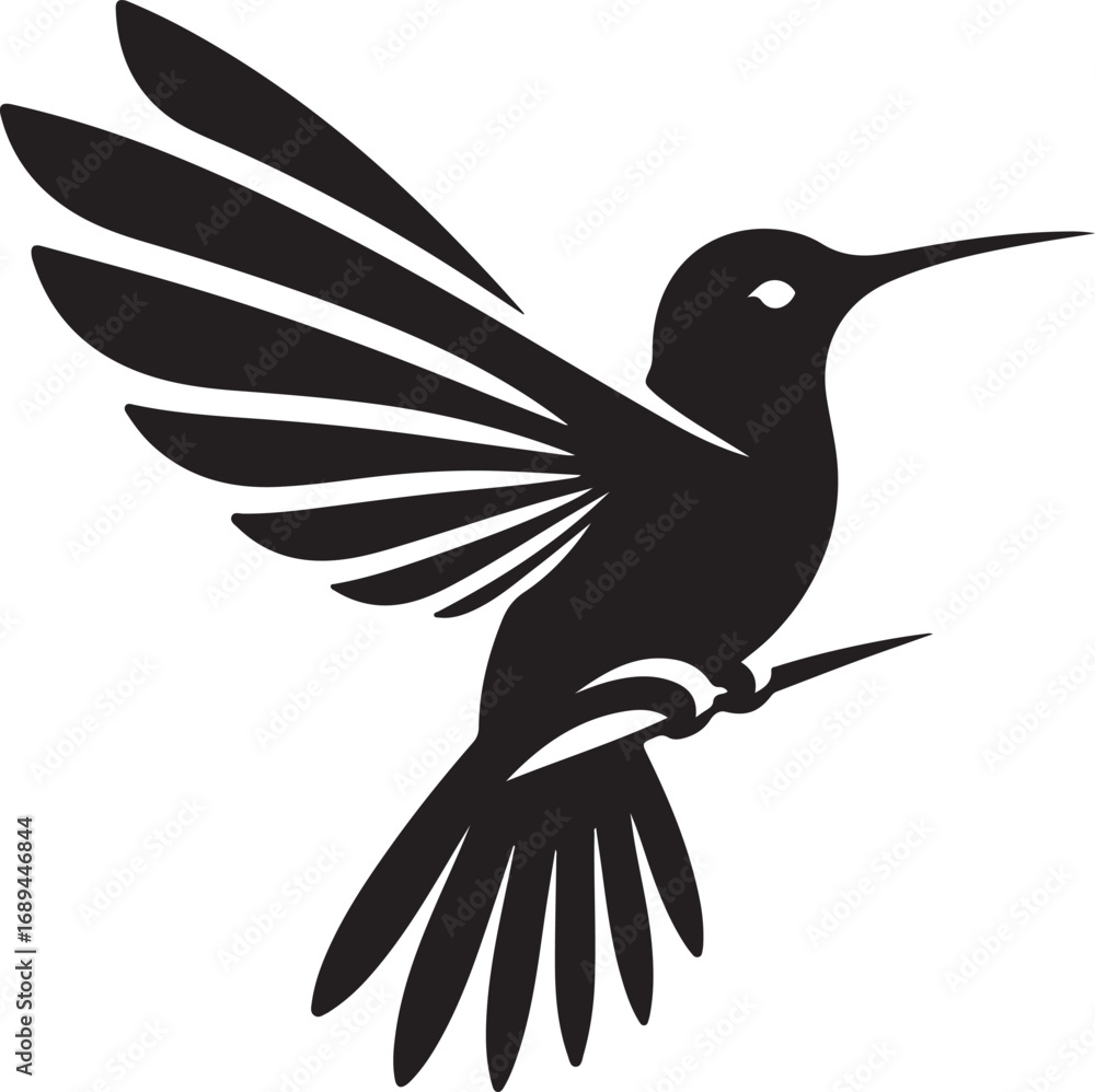 Fototapeta premium Hummingbird Silhouette