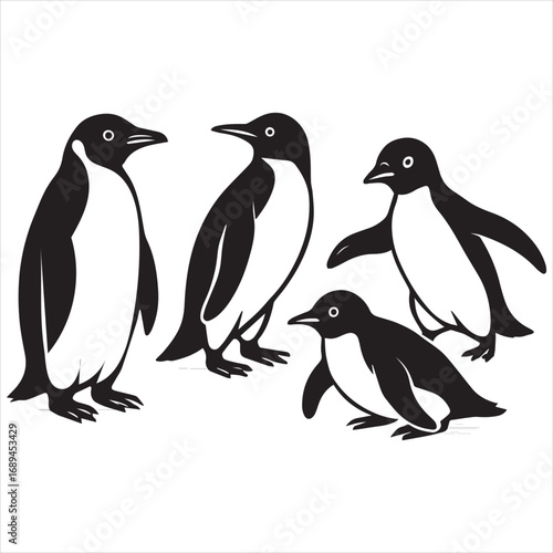penguins on a white background