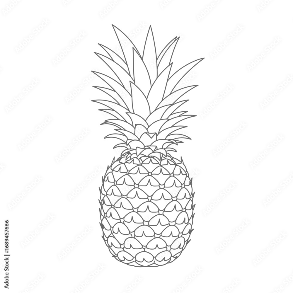 Obraz premium Line Art Drawing of a Pineapple