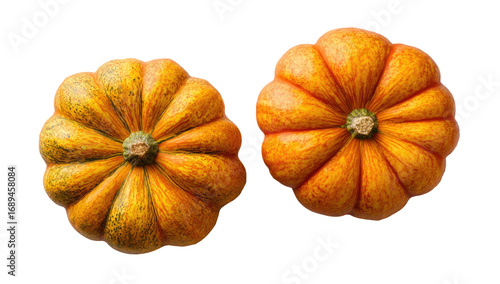 Two small pumpkins, top view