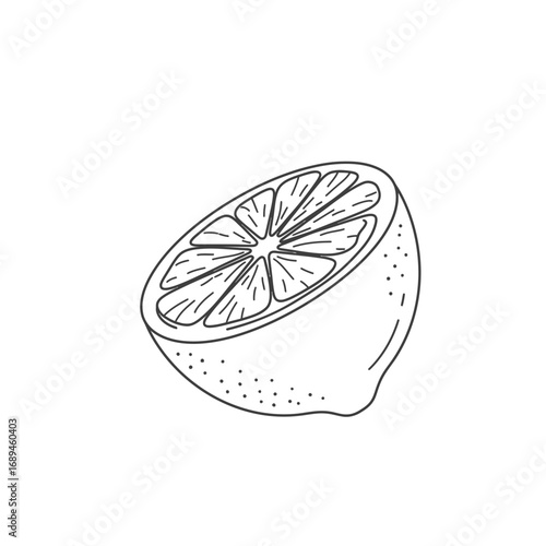 Line Drawing of a Halved Citrus Fruit