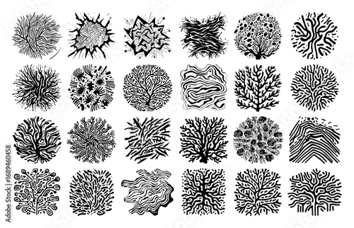 Round coral reef silhouette vector collection