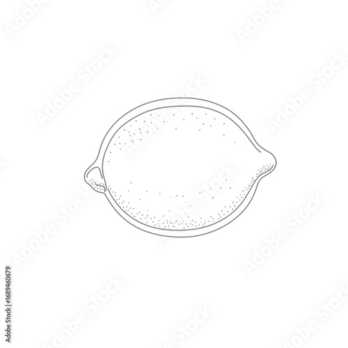Line Drawing of a Lemon on White Background