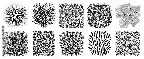 Collection of abstract organic nature patterns and textures