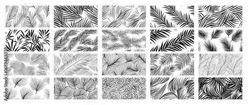 Collection of tropical palm leaf seamless patterns and abstract textures