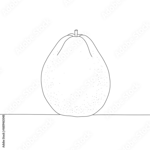 Line Drawing of a Single Fruit on White Background