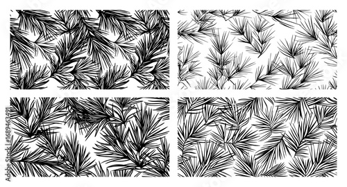 Set of seamless monochrome patterns with hand drawn fir branches
