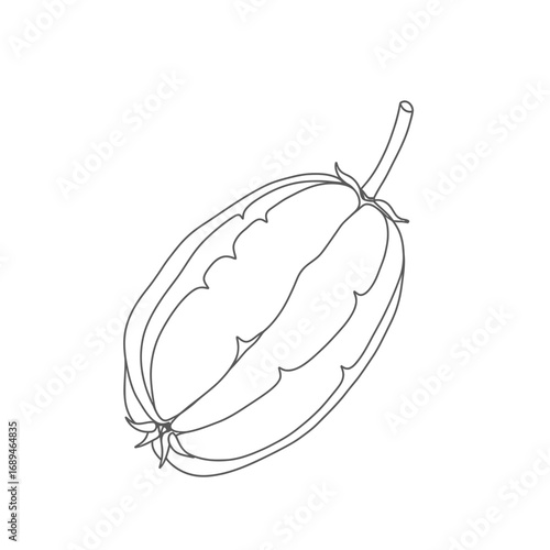 Line Drawing of an Opened Starfruit
