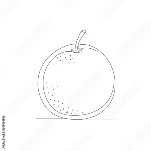 Line Drawing of an Orange on White Background
