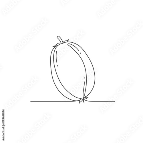 Line Drawing of an Oval Fruit on White Background