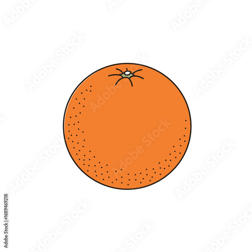 Orange Fruit Illustration