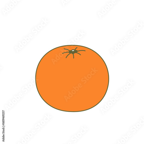 Orange Fruit Illustration