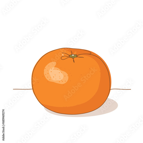 Orange Fruit Illustration on White Background