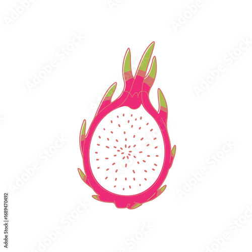 Pink Dragon Fruit Cross Section Illustration