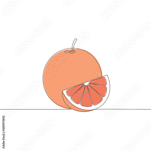 Pink Grapefruit with Slice Line Art Illustration