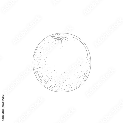 Simple Line Drawing of an Orange Fruit