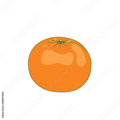 Single Orange Fruit Illustration