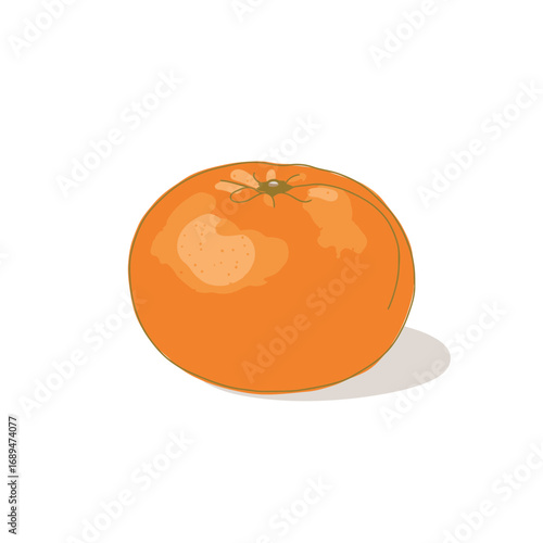 Single Orange Fruit Illustration