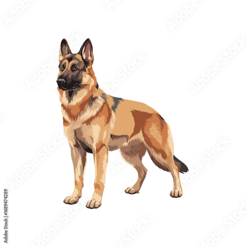 German Shepherd Dog Vector Illustration – Strong Guard Dog Design for Pets, Security, and Animal Concepts
