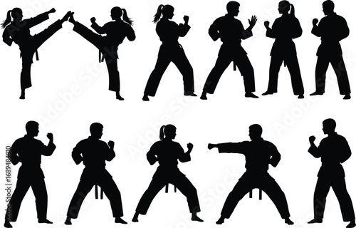 Karate silhouette, martial arts pose, black belt training, karate action stance, self-defense vector, fighting position illustration, combat exercise figure