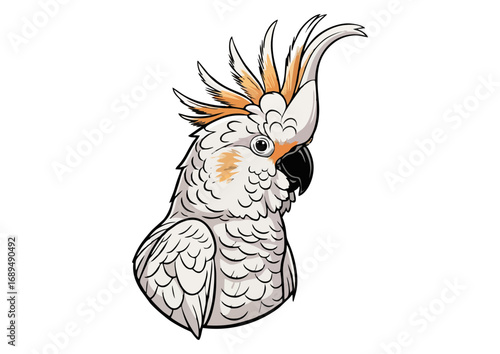 Charming cockatoo perched on a branch with a minimalist background for illustration concept

