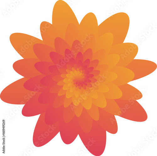 Red orange spiral blossom with fiery gradient petals, abstract vector illustration.