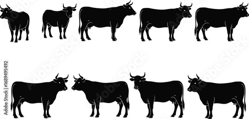 Cow silhouette, standing cattle, farm animals vector, bull illustration, black livestock graphic, domestic animal, grazing cow, rural art