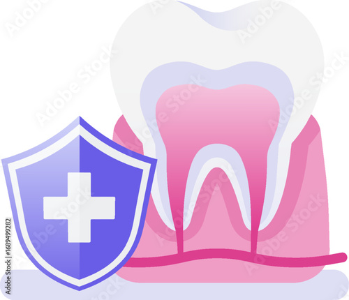 Healthy tooth anatomy with medical shield vector illustration