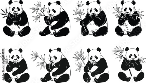 Panda bear vector illustration, black white bamboo eating animal, cute wildlife art, cartoon style bear clipart, nature design, animal icons